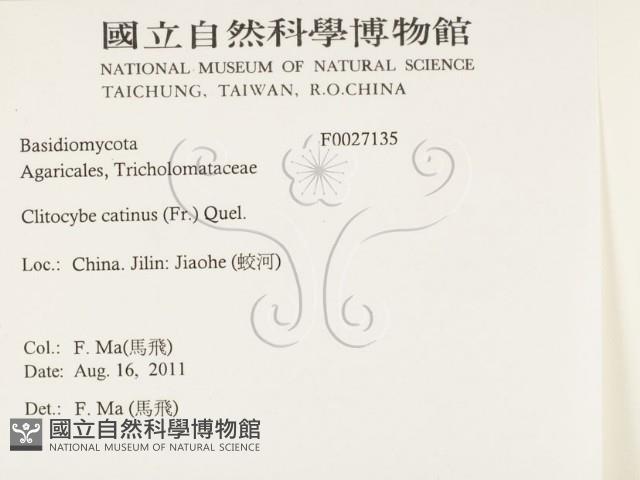 登錄號:F0027135藏品圖，第2張