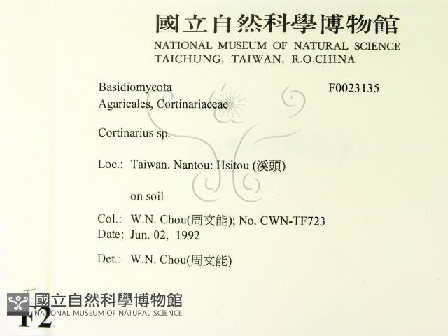 登錄號:F0023135藏品圖，第2張