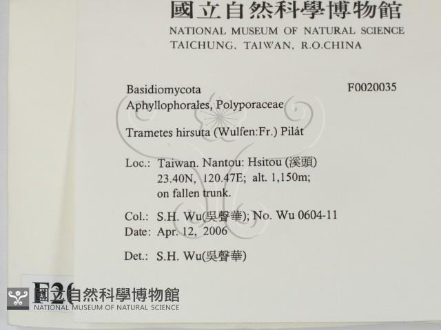 登錄號:F0020035藏品圖，第2張