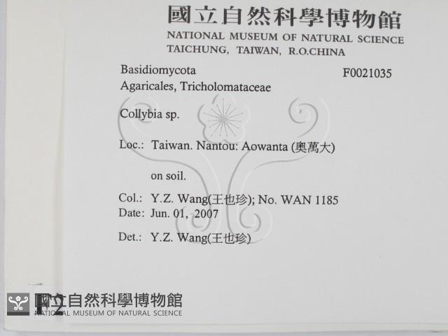 登錄號:F0021035藏品圖，第2張