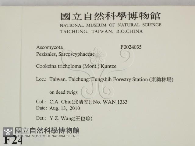 登錄號:F0024035藏品圖，第2張