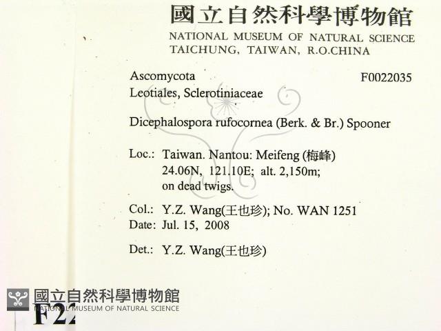 登錄號:F0022035藏品圖，第2張