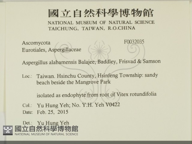 登錄號:F0032035藏品圖，第2張