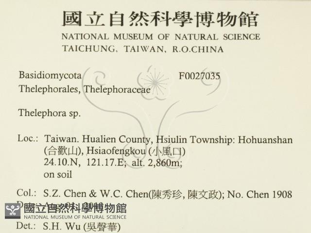 革菌屬藏品圖，第2張