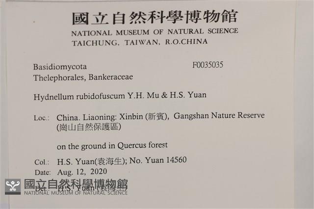 登錄號:F0035035藏品圖，第2張