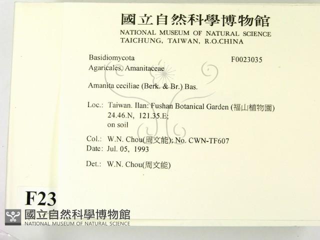 登錄號:F0023035藏品圖，第2張