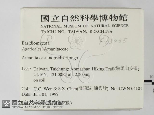 登錄號:F0013035藏品圖，第2張
