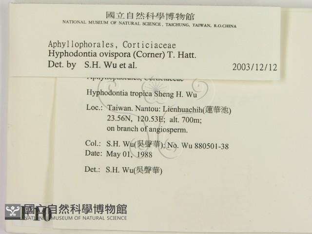 登錄號:F0010335藏品圖，第2張