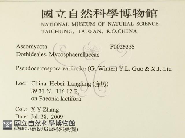 登錄號:F0026335藏品圖，第2張