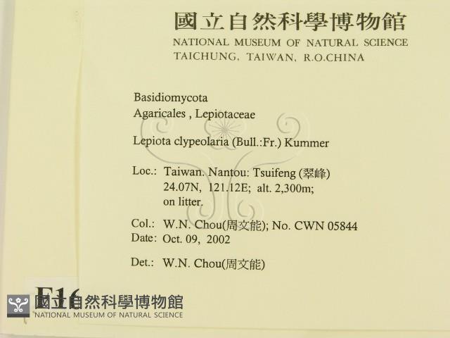 登錄號:F0016335藏品圖，第2張