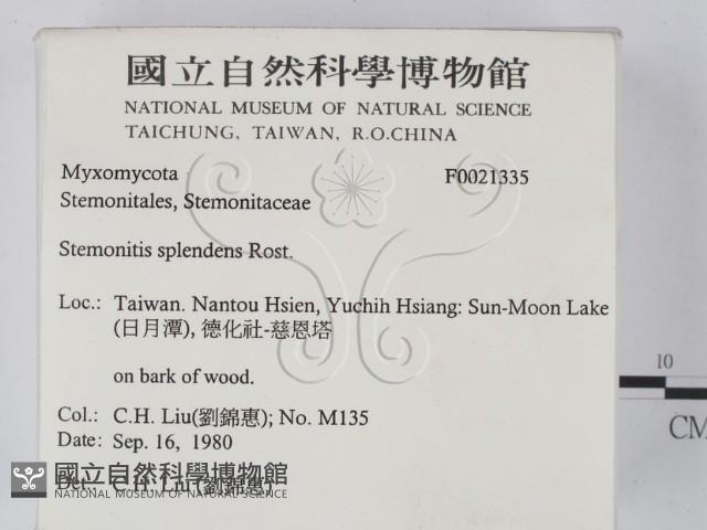 登錄號:F0021335藏品圖，第2張