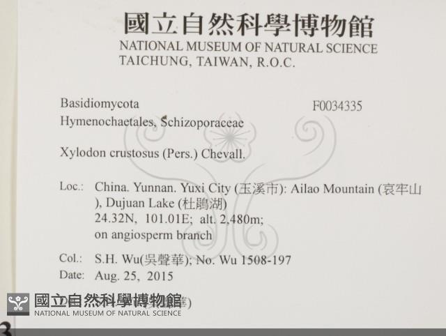 登錄號:F0034335藏品圖，第2張