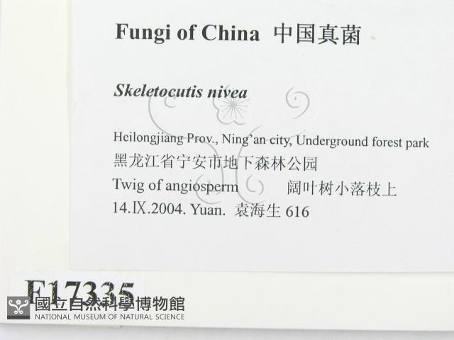 登錄號:F0017335藏品圖，第2張