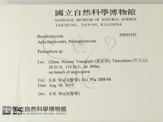 筍殼菌屬藏品圖，第2張