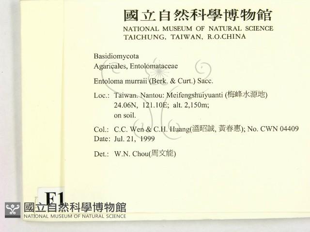 登錄號:F0013335藏品圖，第2張