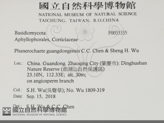 登錄號:F0033335藏品圖，第2張