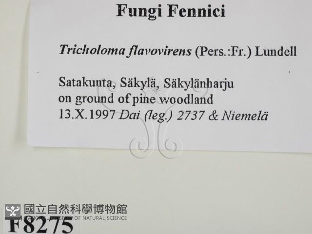 登錄號:F0008275藏品圖，第2張