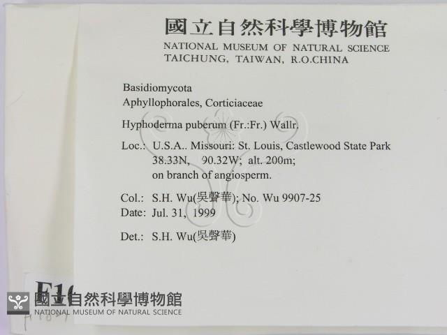 登錄號:F0010275藏品圖，第2張