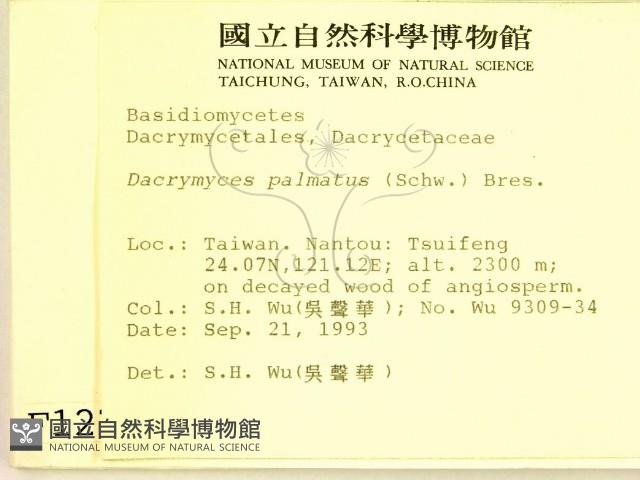 登錄號:F0001275藏品圖，第2張