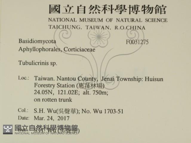 登錄號:F0031275藏品圖，第2張