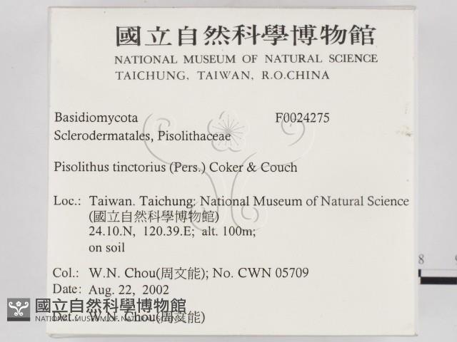 登錄號:F0024275藏品圖，第2張