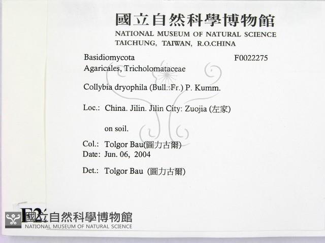 登錄號:F0022275藏品圖，第2張