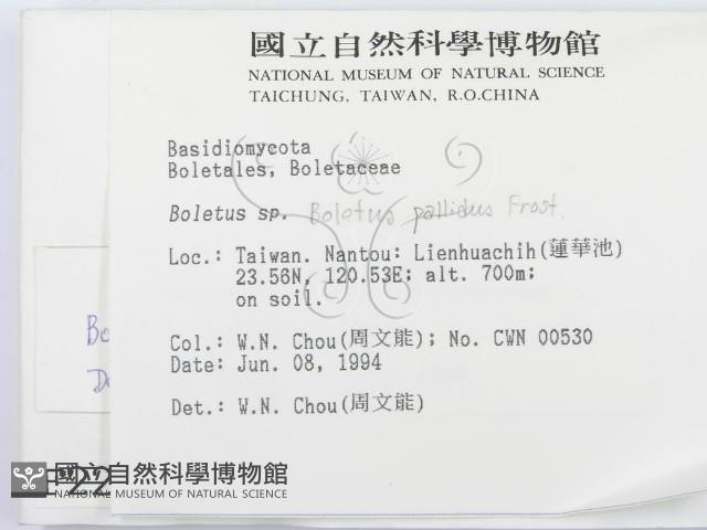 登錄號:F0002275藏品圖，第2張