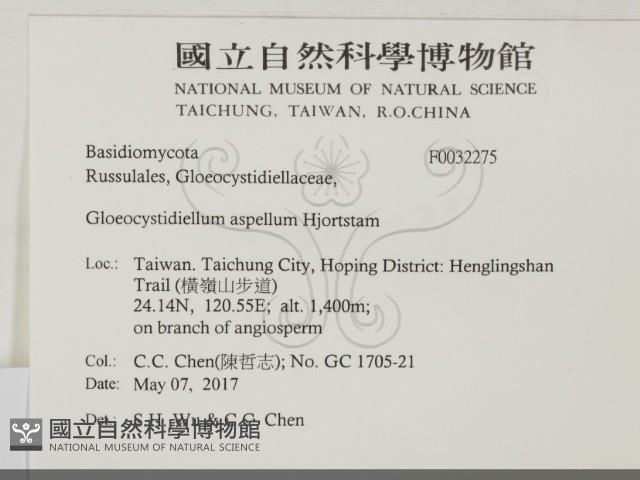 登錄號:F0032275藏品圖，第2張