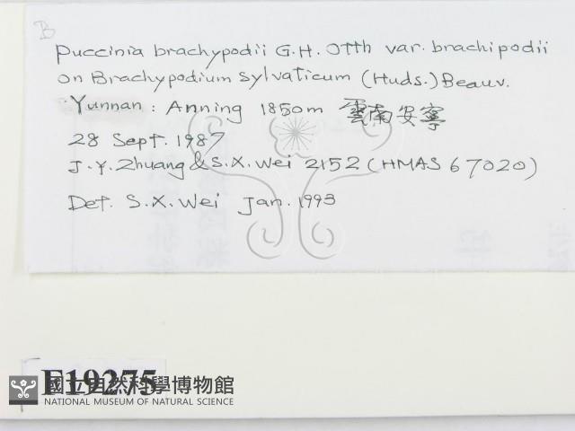 登錄號:F0019275藏品圖，第2張