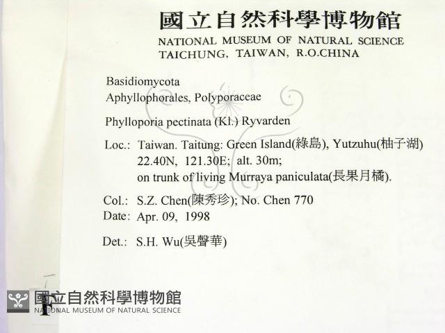 登錄號:F0008875藏品圖，第2張