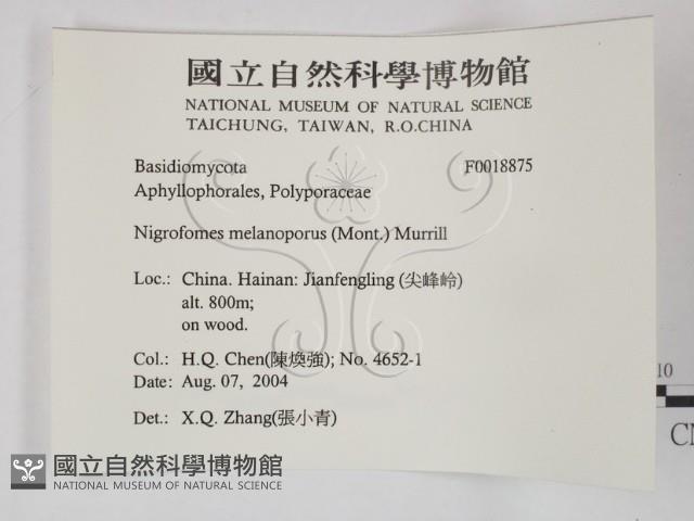 登錄號:F0018875藏品圖，第2張