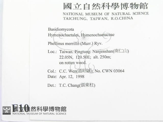 登錄號:F0010875藏品圖，第2張
