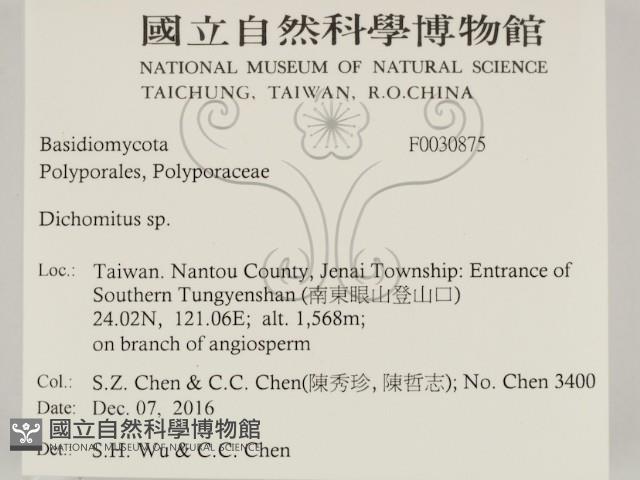 登錄號:F0030875藏品圖，第2張