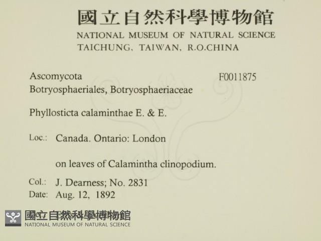 登錄號:F0011875藏品圖，第2張