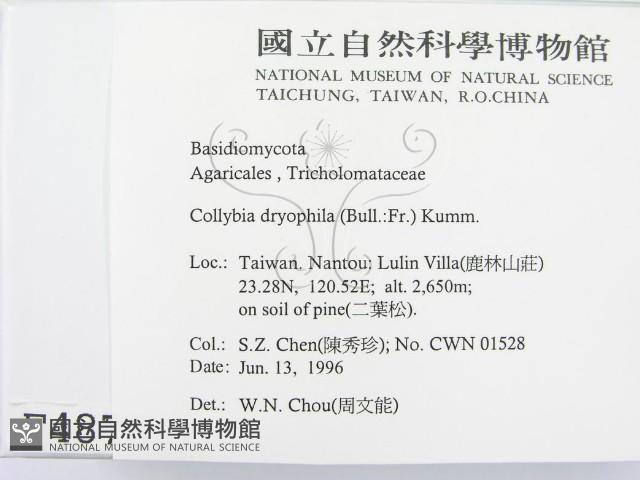 登錄號:F0004875藏品圖，第2張