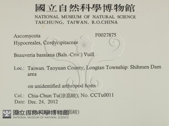 登錄號:F0027875藏品圖，第2張