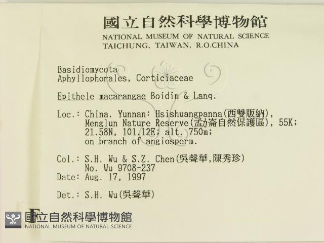 登錄號:F0007875藏品圖，第2張
