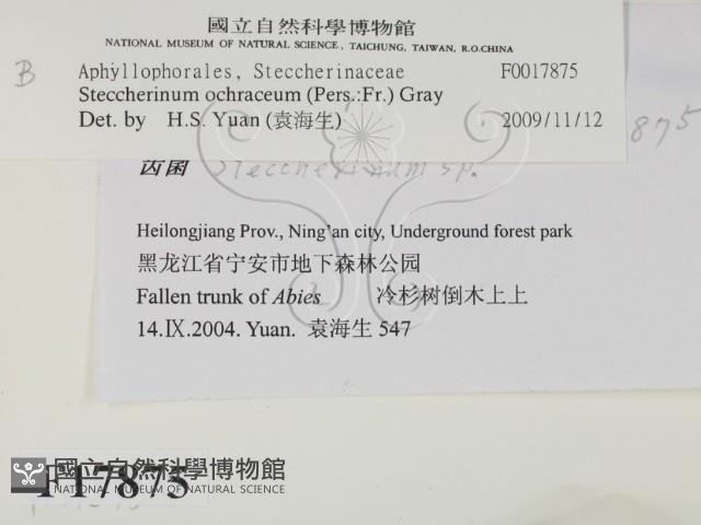 登錄號:F0017875藏品圖，第2張