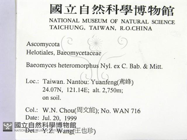 登錄號:F0009875藏品圖，第2張