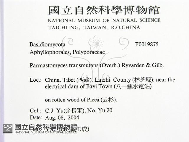 登錄號:F0019875藏品圖，第2張