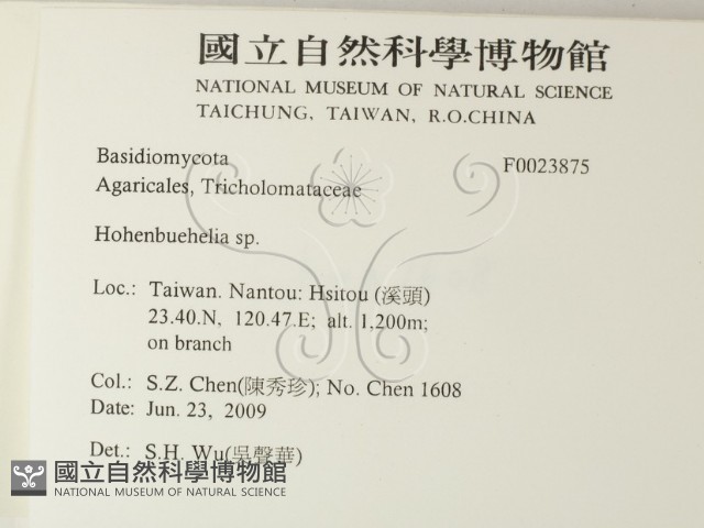 登錄號:F0023875藏品圖，第2張