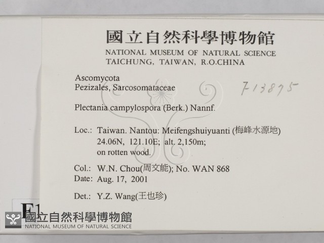 登錄號:F0013875藏品圖，第2張