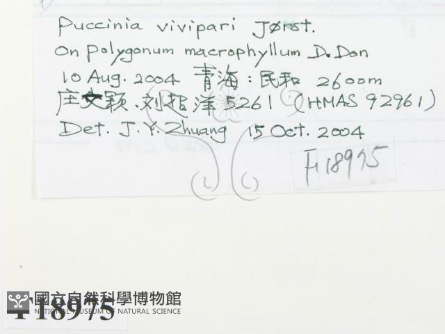 登錄號:F0018975藏品圖，第2張
