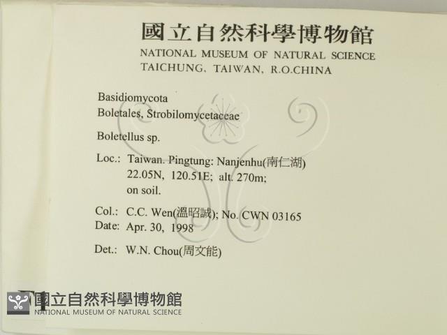 登錄號:F0010975藏品圖，第2張
