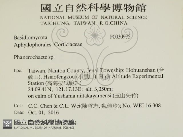 登錄號:F0030975藏品圖，第2張