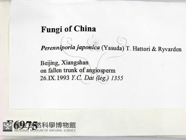 登錄號:F0006975藏品圖，第2張