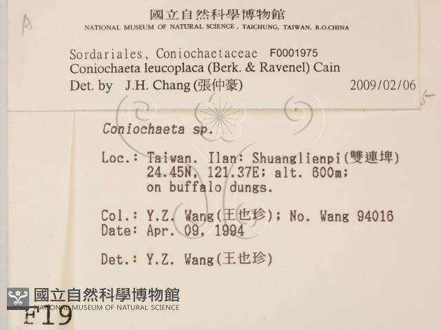 登錄號:F0001975藏品圖，第2張