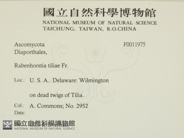 登錄號:F0011975藏品圖，第2張