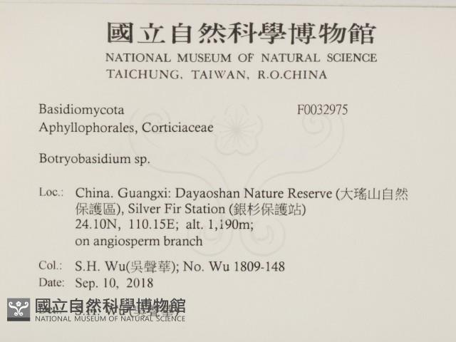 登錄號:F0032975藏品圖，第2張