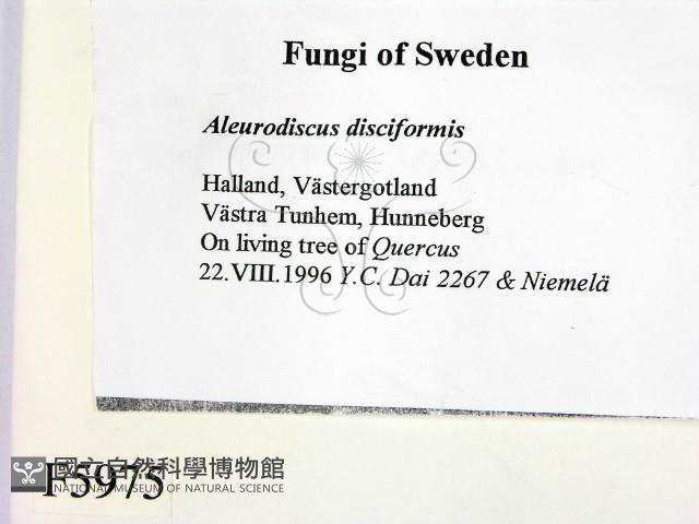 登錄號:F0005975藏品圖，第2張